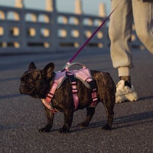 🎄Belpro Escape Proof Dog Harness NWOT